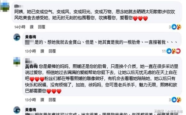 爱配投资 S家这是要内讧的节奏？大半夜S妈再次崩溃发文！一反常态抱怨小S
