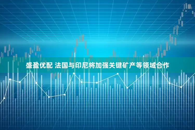 盛盈优配 法国与印尼将加强关键矿产等领域合作