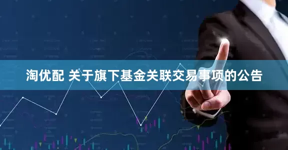 淘优配 关于旗下基金关联交易事项的公告