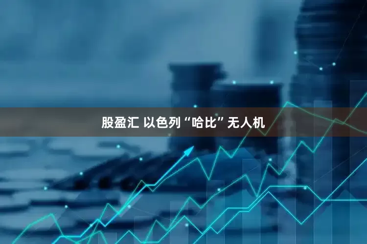 股盈汇 以色列“哈比”无人机