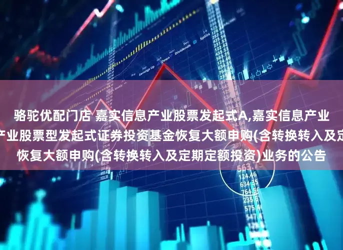 骆驼优配门店 嘉实信息产业股票发起式A,嘉实信息产业股票发起式C: 嘉实信息产业股票型发起式证券投资基金恢复大额申购(含转换转入及定期定额投资)业务的公告