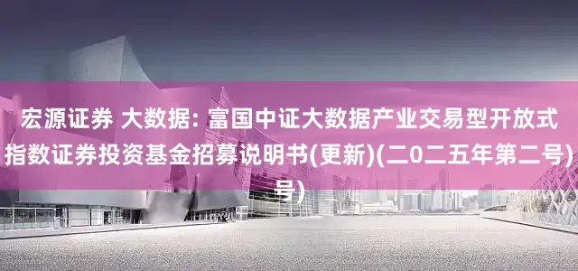 宏源证券 大数据: 富国中证大数据产业交易型开放式指数证券投资基金招募说明书(更新)(二0二五年第二号)