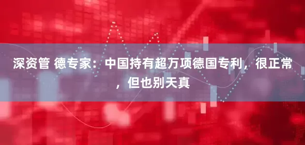 深资管 德专家：中国持有超万项德国专利，很正常，但也别天真